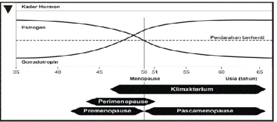 Gambar 2.1 : Perubahan kadar hormon seks dari kematangan seksual sampai  pascamenopause (Baziad, 2003) 