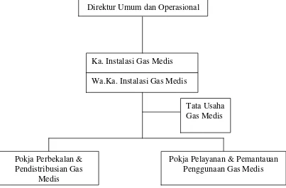 Gambar 3.4. Struktur Organisasi Instalasi Gas Medis RSUP H. Adam Malik 