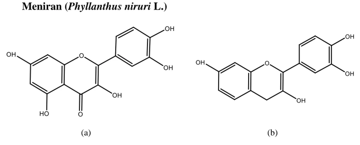 Gambar 2. Contoh senyawa polifenol  Keterangan: (a) adalah quercetin dan (b) adalah katekin 