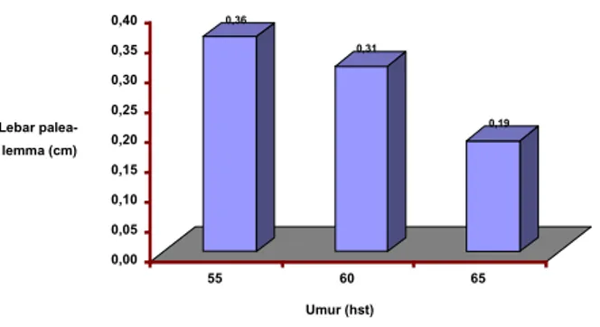 Gambar 1.  Histogram pengaruh umur pada pelebaran palea-lemma Figure 1. Histogram showing the effect of age on palea-lemma widening