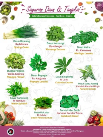 Gambar 4. Sayuran Daun dan Tangkai 1  