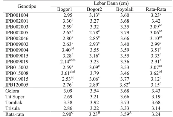 Tabel 7. Rataan  Lebar  Daun 13  Galur  Cabai IPB  yang Diuji  dan 4 Varietas  Pembanding di Tiga Lingkungan
