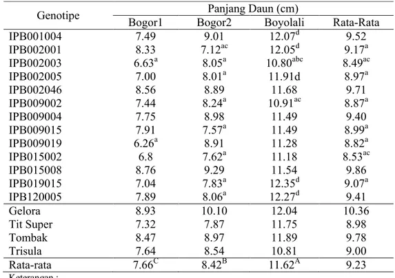 Tabel 8. Rataan  Panjang  Daun  13 Galur Cabai IPB  yang Diuji  dan 4 Varietas  Pembanding di Tiga Lingkungan