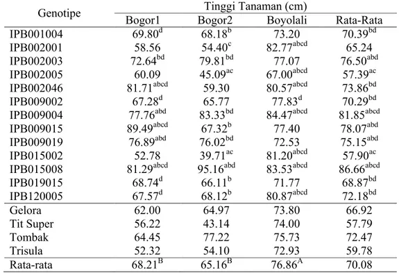 Tabel 10. Rataan Tinggi Tanaman 13 Galur Cabai IPB yang Diuji dan 4 Varietas  Pembanding di 3 Lingkungan