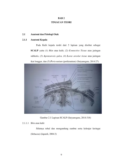 Bab 2 Tinjauan Teori Scalp Yaitu 1 Skin Atau Kulit 2 Connective