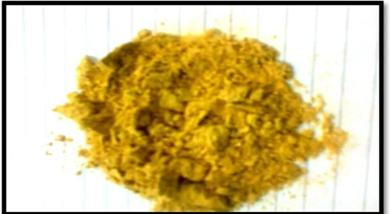 Gambar 1. Serbuk ekstrak etanolik jahe putih besar (Zingiber majus Rumph) 