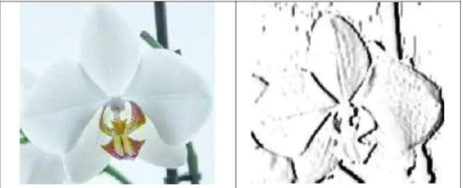 Gambar 6. Implementasi Metode Sobel Edge Detector