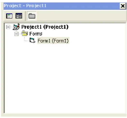 Gambar 2.11 Project Window 