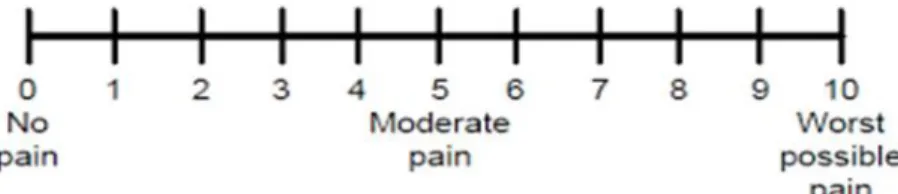 Gambar 2. 1 Numeric Rating Scale (NRS) 