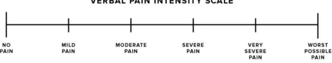 Gambar 2. 2 Verbal Rating Scale 