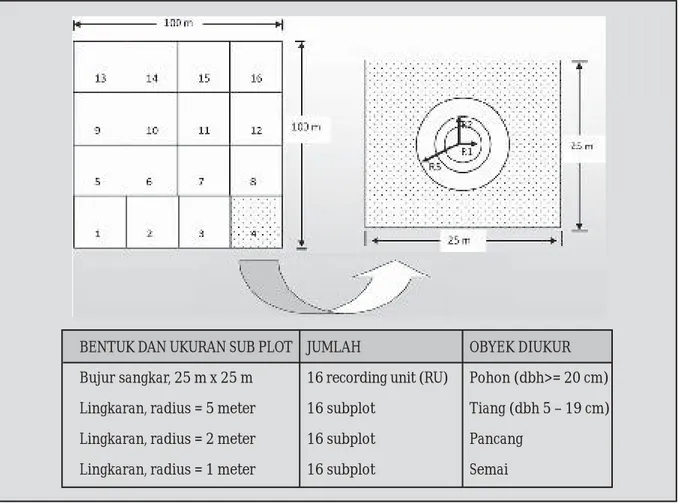 Gambar 1. Ukuran dan bentuk  PSP NFI