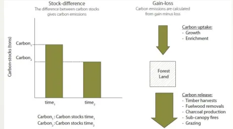 Gambar 4.1. Perbandingan Metode  Stock-Difference  dan  Gain-Loss (Murdiyarso dkk, 2008) 