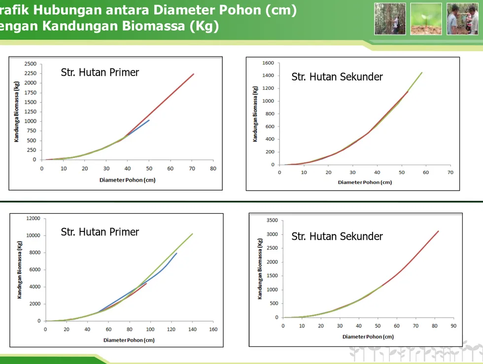 Grafik Hubungan antara Diameter Pohon (cm)  dengan Kandungan Biomassa (Kg) 