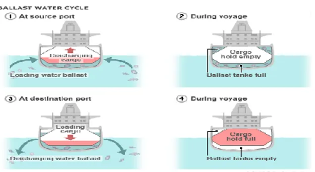 Gambar  1:  Proses  ballasting  dan  deballasting  (Sumber : ECOGREENSHIP) 