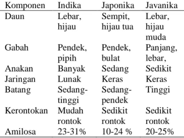 Tabel 1 Perbandingan beberapa sifat-sifat morfologik dan fisiologik ras padi Komponen Indika Japonika Javanika Daun Lebar, hijau Sempit, hijau tua Lebar,hijau muda Gabah Pendek, pipih Pendek,bulat Panjang,lebar, Anakan   Banyak  Sedang   Sedikit Jaringan  Lunak  Keras  Keras Batang   Sedang-tinggi Sedang-pendek Tinggi Kerontokan Mudah rontok Sedikitrontok Sedikitrontok Amilosa  23-31%  10-24  % 20-25%