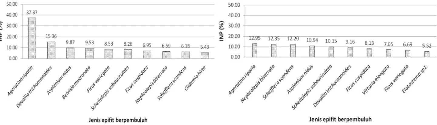 Gambar 5. Indeks nilai penting tertinggi 10 jenis epifit berpembuluh pada Cyathea contaminans (atas) dan Cyathea junghuhniana  (bawah) 