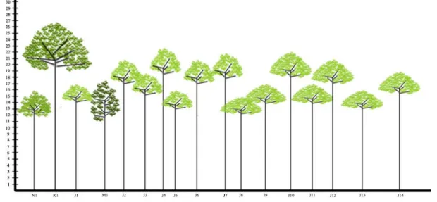 Gambar 4. Diagram Profil Pohon di Kecamatan Sukolilo pada ketinggian 300 m dpl (skala 1:20 cm)  Keterangan : J 1-14   = Jati (Tectona grandis), skala 1:20 cm 