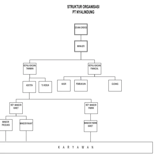 Gambar 3.1. Struktur Organisasi PT.Nyalindung