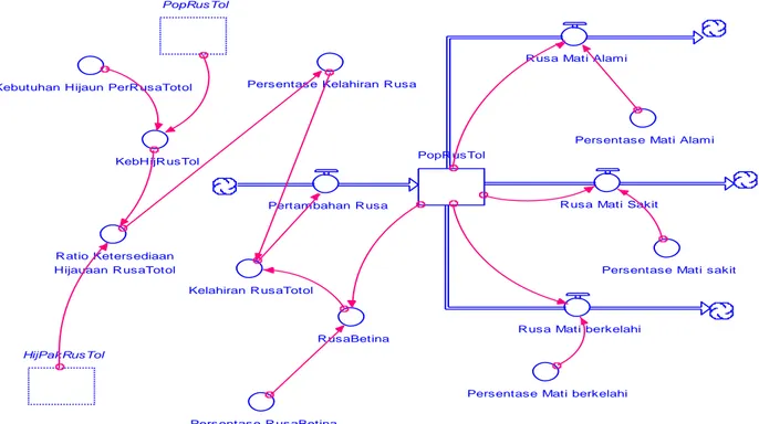 Gambar 2 Sub Model sistem dinamik Populasi Rusa totol 