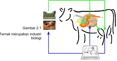 Gambar 2.1  Ternak merupakan industri  biologi
