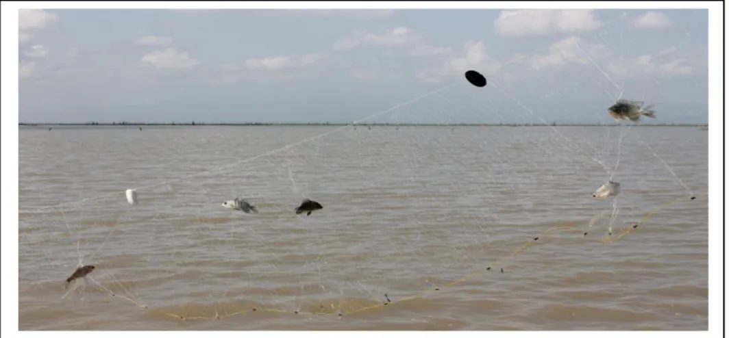 Gambar 2. Jaring insang eksperimental alat  menangkap ikan dengan berbagai  ukuran  mata jaring (Foto: Ricky 2012) 