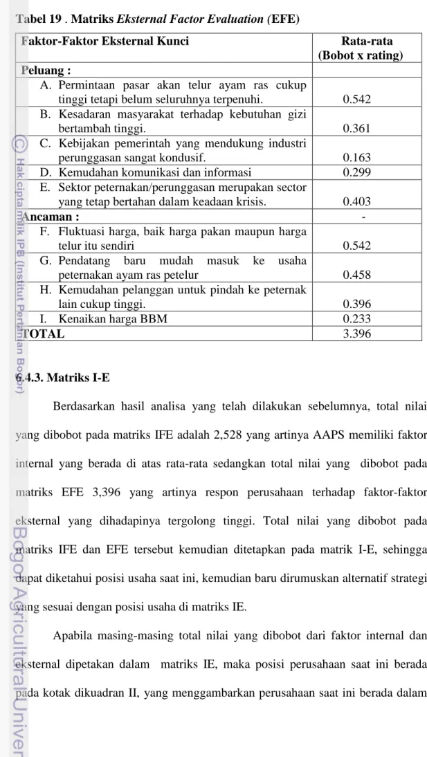 Tabel 19 . Matriks Eksternal Factor Evaluation (EFE) 