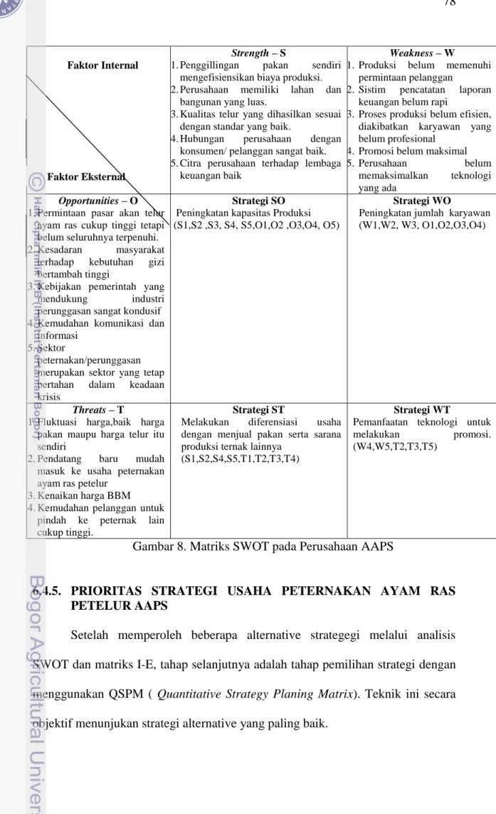 Gambar 8. Matriks SWOT pada Perusahaan AAPS 