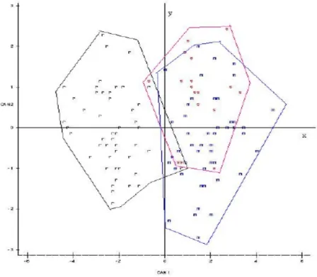 Gambar 3 menyajikan plot data yang  mengillustrasikan pengelompokkan ketiga  jenis kerbau yang diamati berdasarkan hasil  analisis diskriminan
