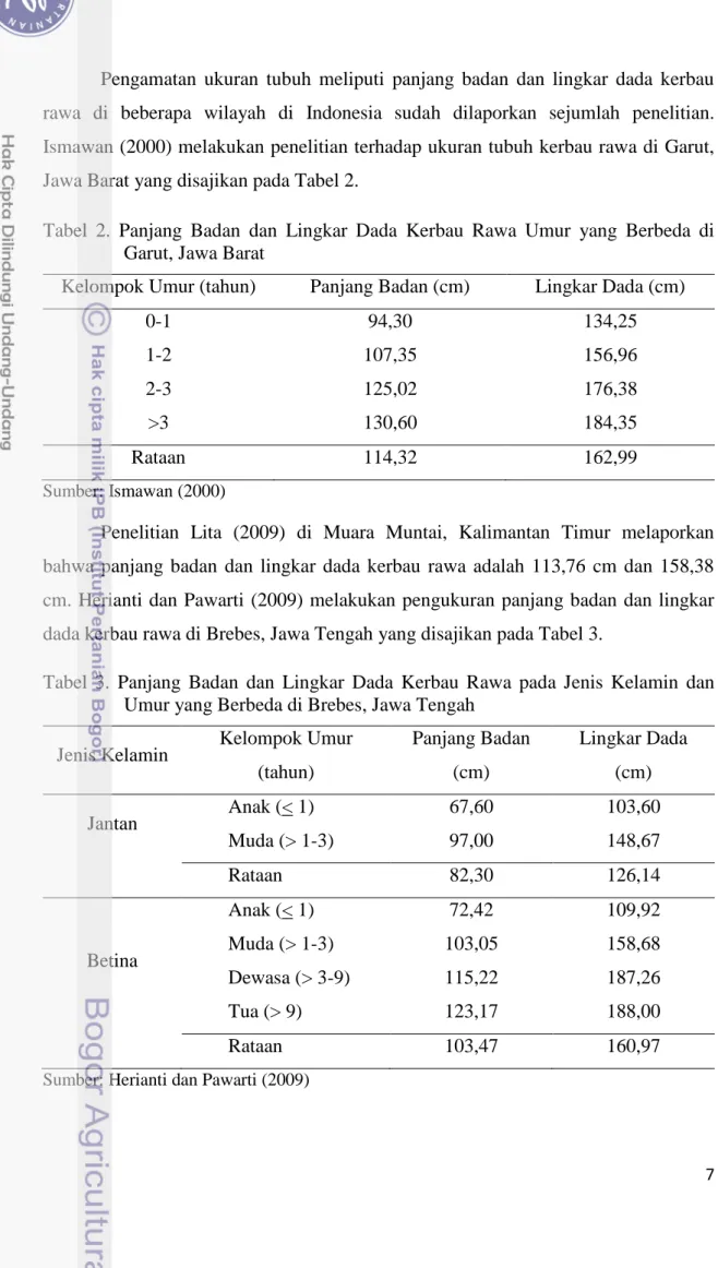 Tabel  2.  Panjang  Badan  dan  Lingkar  Dada  Kerbau  Rawa  Umur  yang  Berbeda  di  Garut, Jawa Barat 