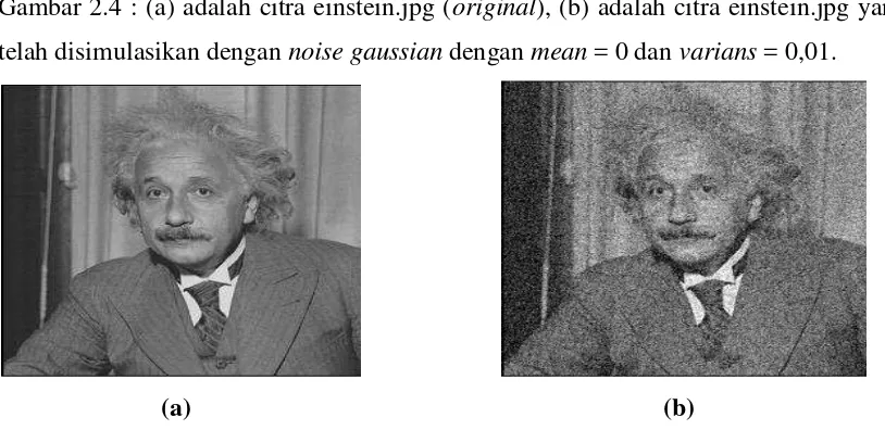 Gambar 2.4 : (a) adalah citra einstein.jpg (original), (b) adalah citra einstein.jpg yang 