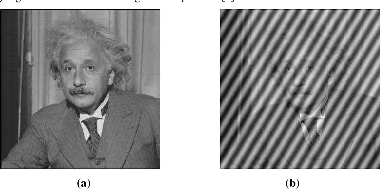 Gambar 2.6 : (a) Gambar asli, (b) Gambar setelah pemberian noise periodic[7] 