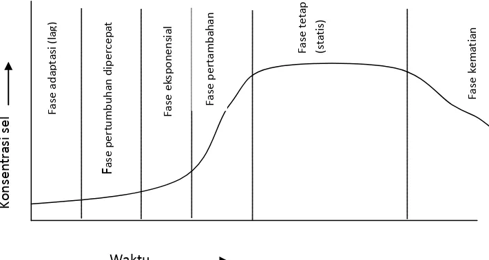 Gambar 2.1 grafik pertumbuhan mikroba  