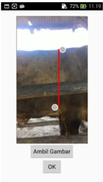 Gambar 7 (a) Halaman perhitungan pada jenis sapi limpo dan (b)  Halaman perhitungan pada jenis sapi simpo 