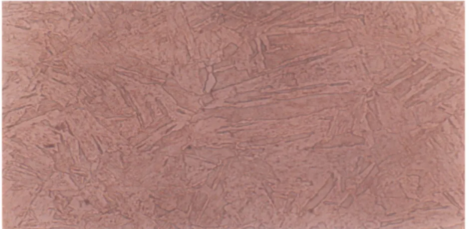 Gambar 3 Struktur Mikro Material Corrax Proses Nitrocarburizing Tanpa Aging Pembesaran 400x 