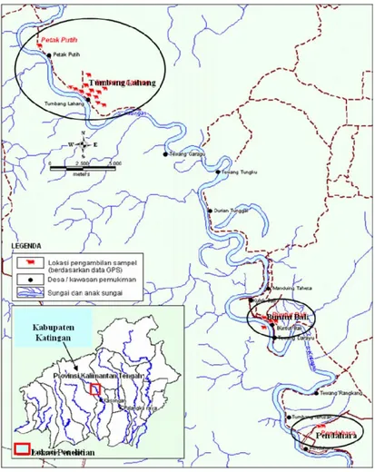 Gambar 1.  Peta lokasi pengambilan contoh sapi Katingan (B HERMANA , 2010) 