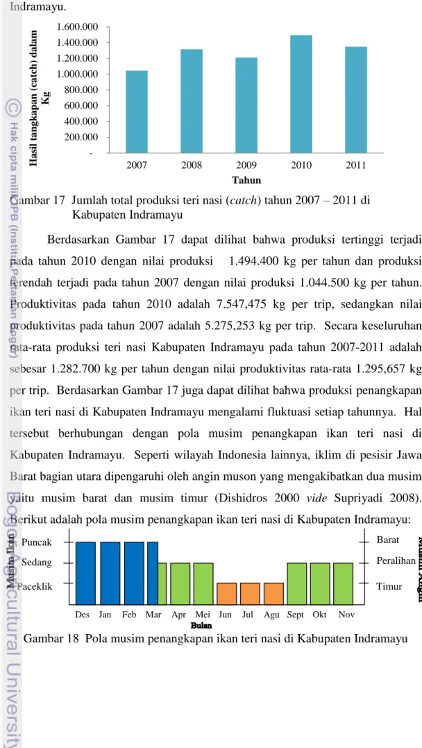 Gambar 17  Jumlah total produksi teri nasi (catch) tahun 2007 – 2011 di          Kabupaten Indramayu 