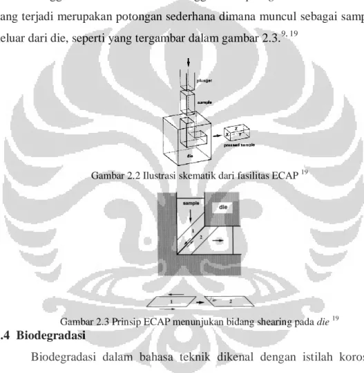 Gambar 2.2 Ilustrasi skematik dari fasilitas ECAP  19