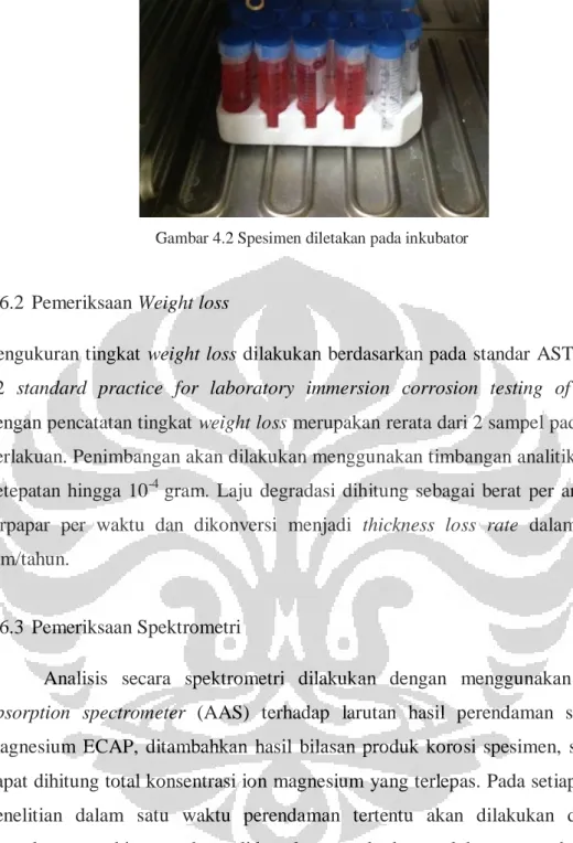 Gambar 4.2 Spesimen diletakan pada inkubator 