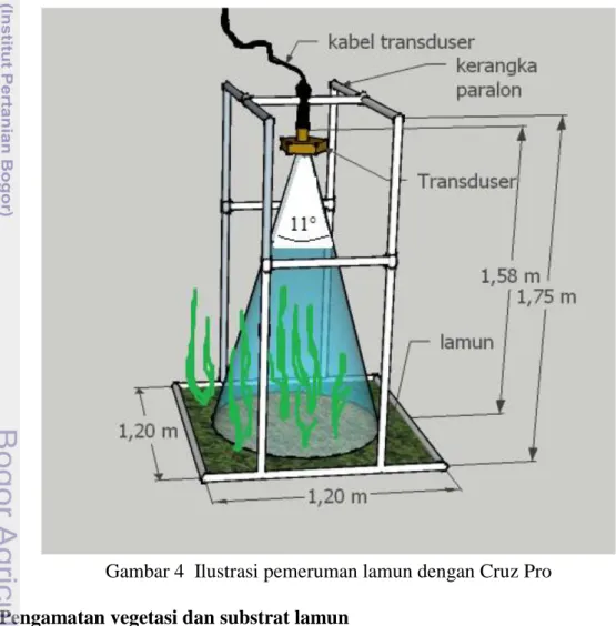 Gambar 4  Ilustrasi pemeruman lamun dengan Cruz Pro  Pengamatan vegetasi dan substrat lamun 
