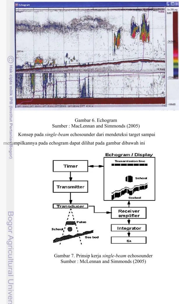 Gambar 7. Prinsip kerja single-beam echosounder   Sumber : McLennan and Simmonds (2005) 