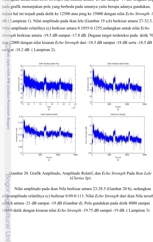 Gambar 20. Grafik Amplitudo, Amplitudo Relatif, dan Echo Strength Pada Ikan Lele   (Clarias Sp) 