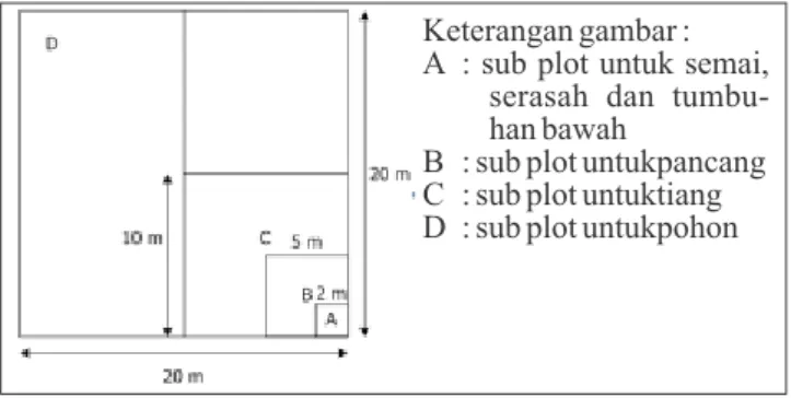 Gambar 1.  Bentuk Plot Pengamatan Karbon