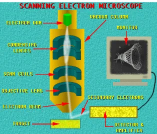 Gambar 5. Bagian lensa mikroskop SEM          Sumber: Image (2008) 