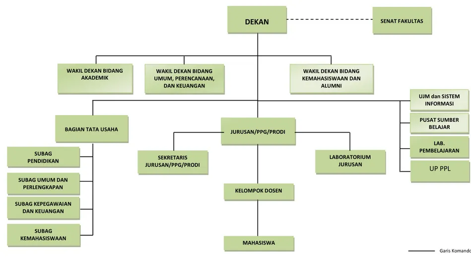 Gambar 2.1. Struktur Organisasi FKIP Universitas Halu Oleo