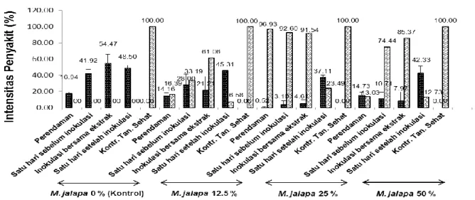 Gambar 2 Pengaruh waktu aplikasi dan konsentrasi ekstrak daun M. Jalapa terhadap intensitas penyakit mosaik  kacang panjang 