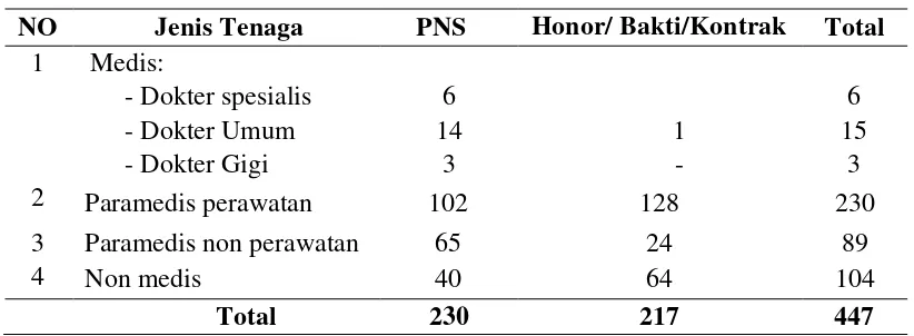 Tabel 4.1 Jumlah dan Jenis Ketenagaan RSUD Dr. H. Yuliddin Away Tapaktuan Tahun 2012 