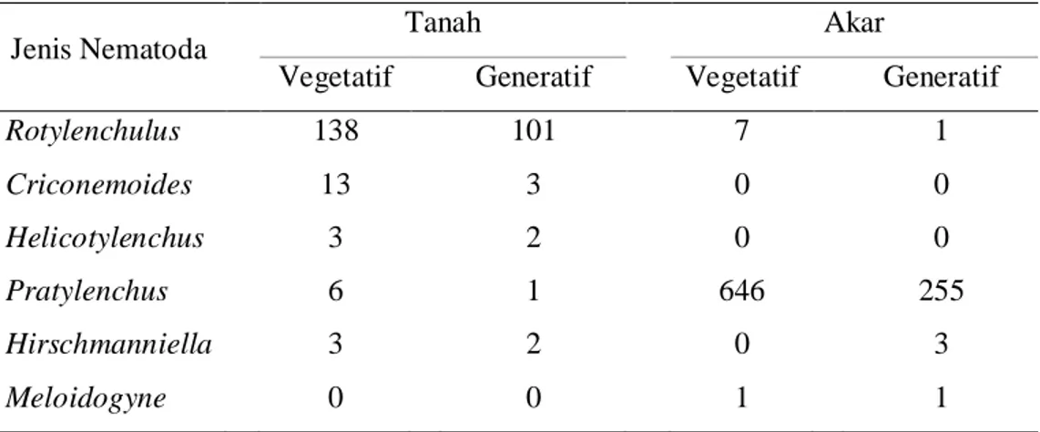 Tabel  2    Jumlah  nematoda  pada  tanah  (per  100  cm 3 )  dan  akar  (per  5  g  akar)  di    pertanaman nanas Desa Bunihayu  