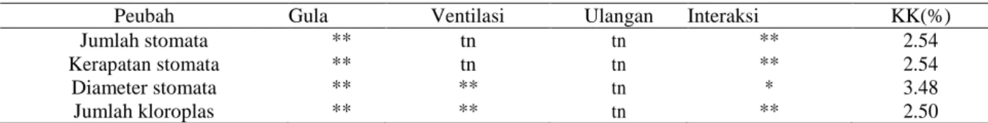 Tabel 7. Rekapitulasi hasil uji F pengaruh kombinasi konsentrasi gula dengan jumlah ventilasi terhadap  morfologi stomata tanaman kentang varietas Granola 