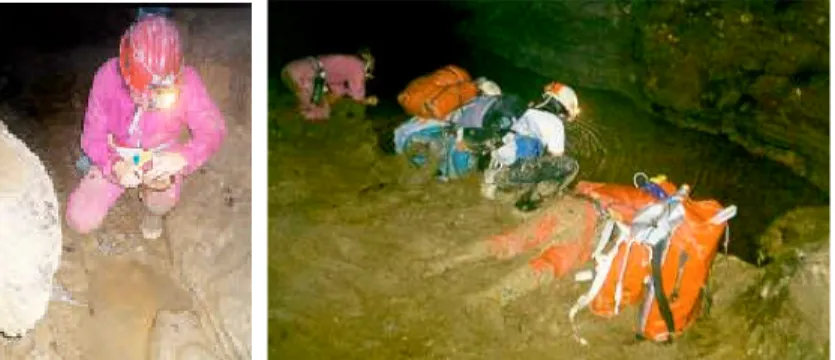 Gambar : Koleksi Arthropoda akuatik di kolam permanen maupun temporal di dalam gua (Foto: C