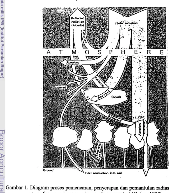 Gambar 1. Diagram proses pemencaran, penyerapan dan pemantulan radiasi surya di  atmosfer sarnpai mencapai permukaan vegetasi (Geiger 1950)